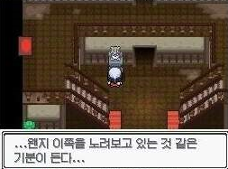 [포켓몬괴담] 숲의 양옥집 유령 | 인스티즈